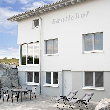 Bantlehof Apartman Niedereschach Kültér fotó