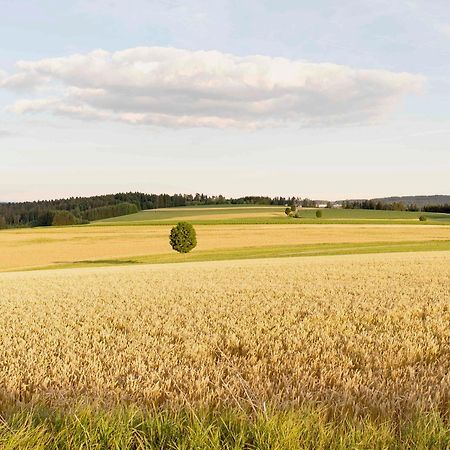Bantlehof Apartman Niedereschach Kültér fotó