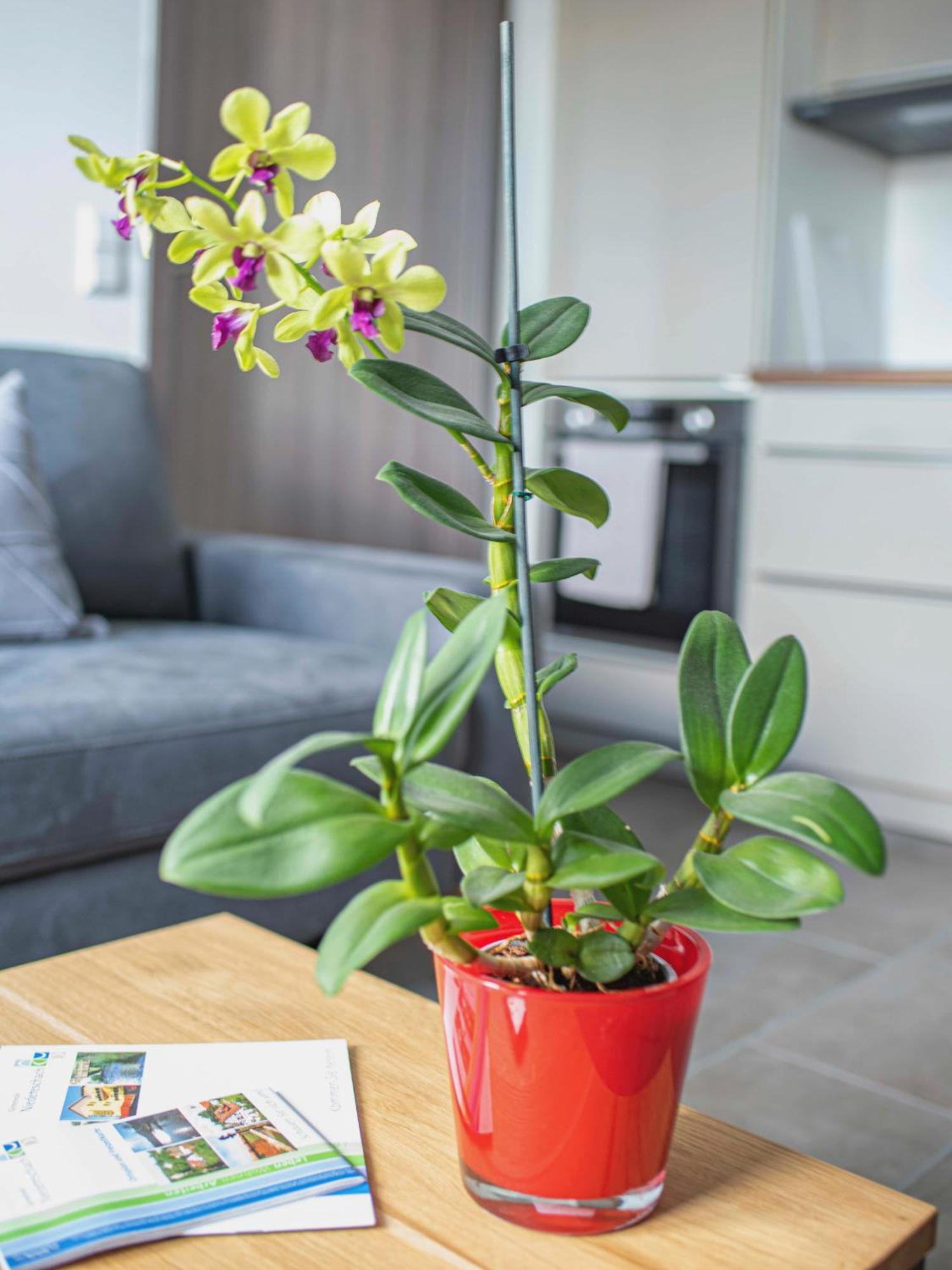 Bantlehof Apartman Niedereschach Kültér fotó